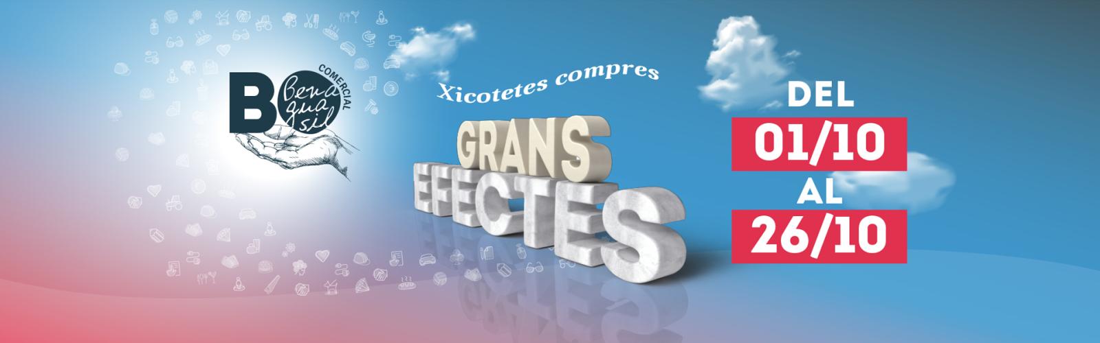 Campaña de Bonos Consumo 2025